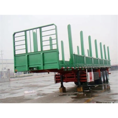 Grade de serviço médio 3 eixos 40FT contêiner esqueleto semi-reboque com cor personalizada